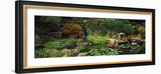 Lilies in a Pond at Japanese Garden, University of California, Los Angeles, California, USA-null-Framed Photographic Print