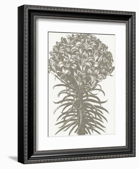 Lilies (Ivory & Burlap)-Botanical Series-Framed Art Print