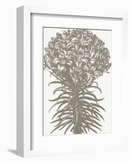 Lilies (Ivory & Burlap)-Botanical Series-Framed Art Print