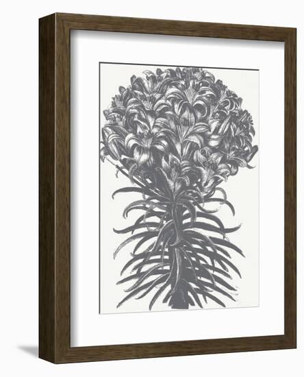 Lilies (Ivory & Gray)-Botanical Series-Framed Art Print