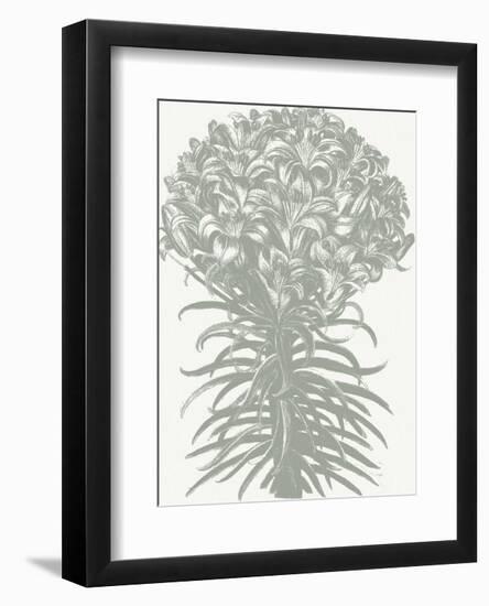 Lilies (Ivory & Sage)-Botanical Series-Framed Art Print