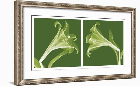 Lilies [Negative]-Steven N^ Meyers-Framed Art Print