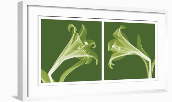 Lilies [Negative]-Steven N^ Meyers-Framed Art Print