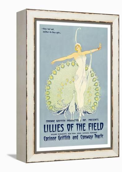 Lilies of the Field-null-Framed Stretched Canvas