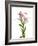 Lilies on a white background-Panoramic Images-Framed Photographic Print
