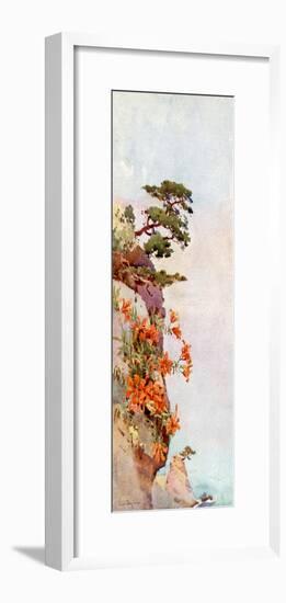 Lilies on the Rocks, Atami-Ella Du Cane-Framed Giclee Print