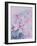 Lilies, Pink Auratum-Karen Armitage-Framed Giclee Print