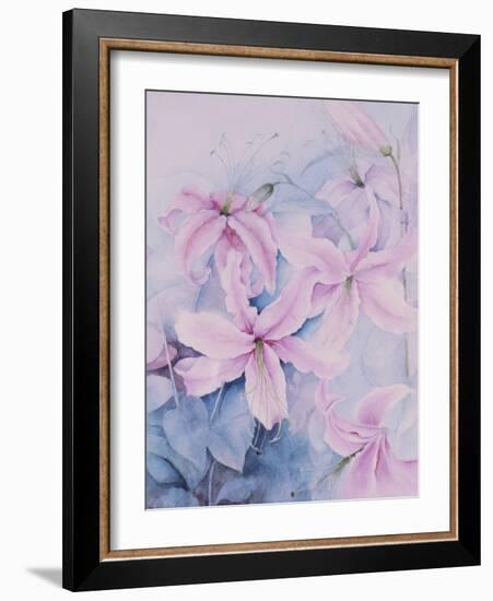 Lilies, Pink Auratum-Karen Armitage-Framed Giclee Print