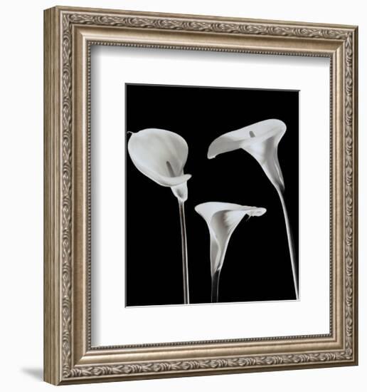 Lilies-Rudy Archer-Framed Art Print