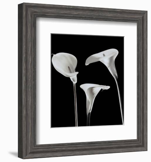 Lilies-Rudy Archer-Framed Art Print