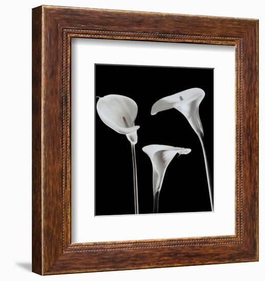 Lilies-Rudy Archer-Framed Art Print