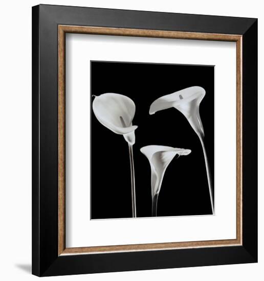 Lilies-Rudy Archer-Framed Art Print