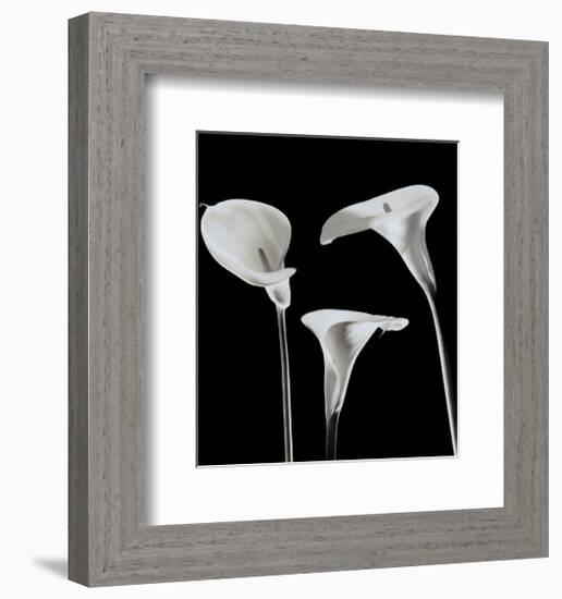 Lilies-Rudy Archer-Framed Art Print