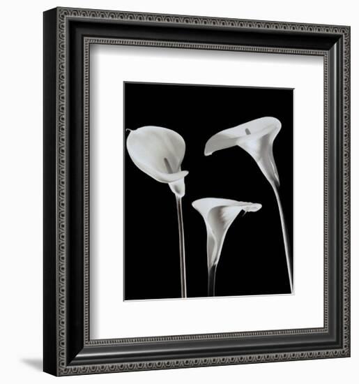 Lilies-Rudy Archer-Framed Art Print