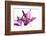 Lilies-Andrekart Photography-Framed Photographic Print