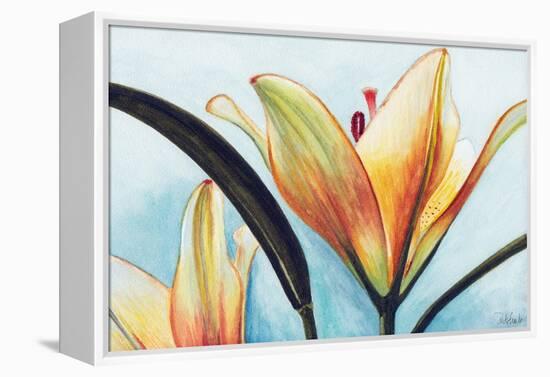 Lilies-Jennifer Redstreake Geary-Framed Stretched Canvas