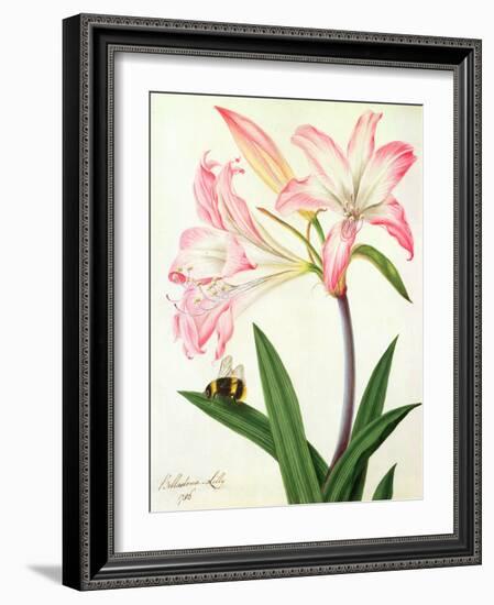Lilium Belladonna and Bee, 1786 (W/C and Gouache over Pencil on Paper)-Matilda Conyers-Framed Giclee Print