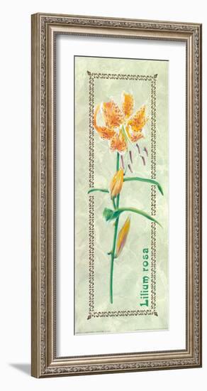 Lilium Rosa Woodwork-L^ Tyndall-Framed Art Print