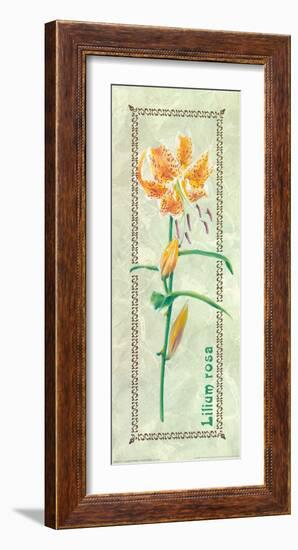 Lilium Rosa Woodwork-L^ Tyndall-Framed Art Print