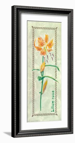 Lilium Rosa Woodwork-L^ Tyndall-Framed Art Print