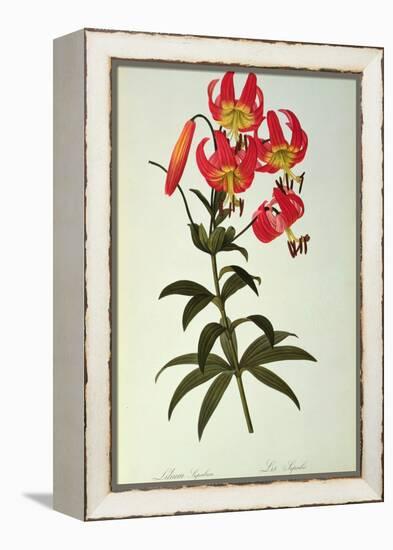 Lilium Superbum, from `Les Liliacees', 1805-Pierre-Joseph Redouté-Framed Premier Image Canvas