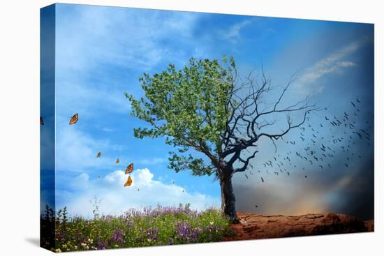 Stretched Canvas Print, , large