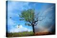 Stretched Canvas Print