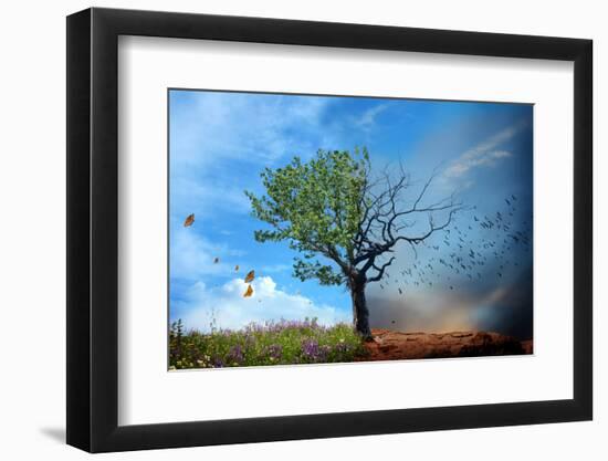 Photographic Print, , large