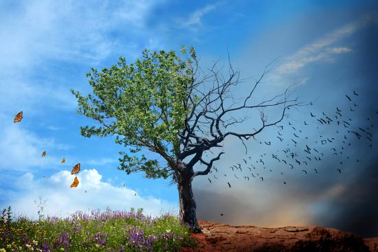 Photographic Print, , large