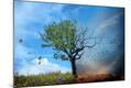 Photographic Print