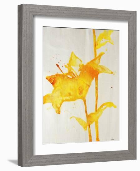 Lillies I-Rikki Drotar-Framed Giclee Print