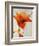 Lillies III-Rikki Drotar-Framed Giclee Print