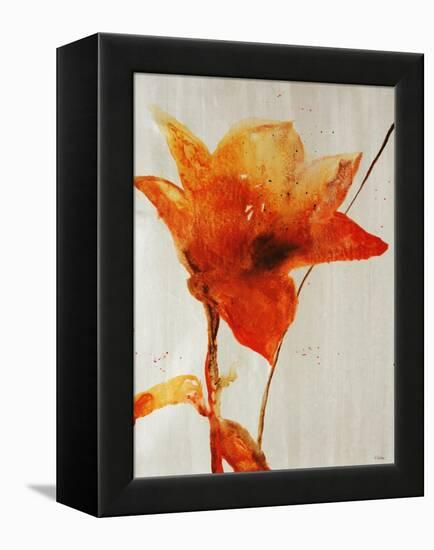 Lillies III-Rikki Drotar-Framed Premier Image Canvas