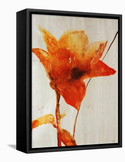 Lillies III-Rikki Drotar-Framed Premier Image Canvas