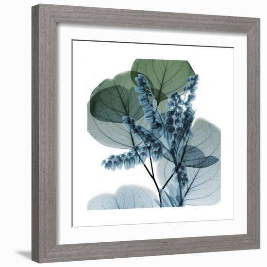 Lilly of Eucalyptus 2-Albert Koetsier-Framed Premium Giclee Print