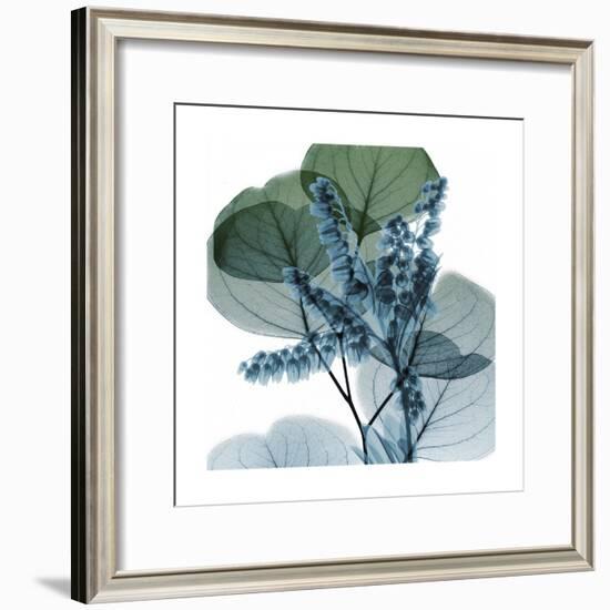 Lilly of Eucalyptus 2-Albert Koetsier-Framed Premium Giclee Print