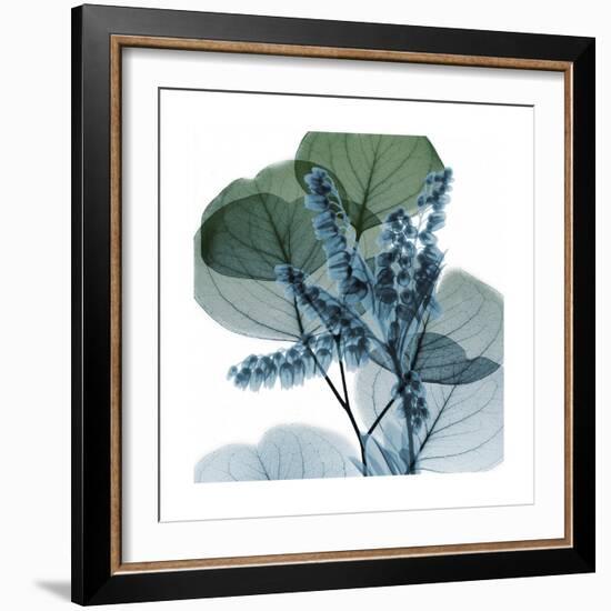 Lilly of Eucalyptus 2-Albert Koetsier-Framed Premium Giclee Print