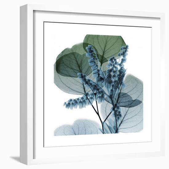 Lilly of Eucalyptus 2-Albert Koetsier-Framed Premium Giclee Print