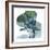 Lilly of Eucalyptus 2-Albert Koetsier-Framed Premium Giclee Print