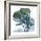 Lilly of Eucalyptus 2-Albert Koetsier-Framed Premium Giclee Print