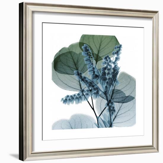 Lilly of Eucalyptus 2-Albert Koetsier-Framed Premium Giclee Print