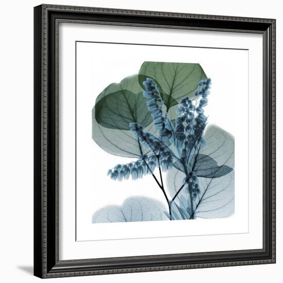 Lilly of Eucalyptus 2-Albert Koetsier-Framed Premium Giclee Print