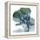 Lilly of Eucalyptus 2-Albert Koetsier-Framed Stretched Canvas