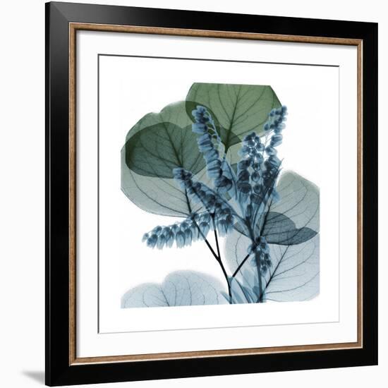 Lilly of Eucalyptus 2-Albert Koetsier-Framed Giclee Print