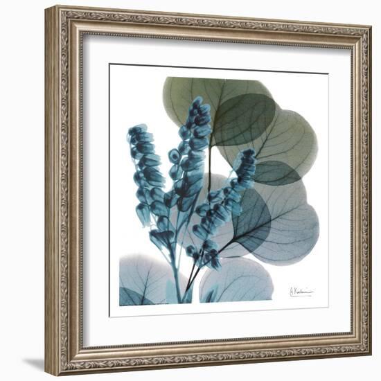 Lilly Of Eucalyptus-Albert Koetsier-Framed Art Print