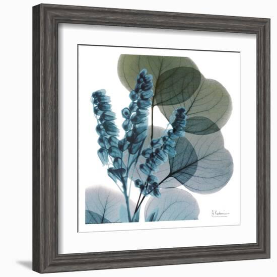 Lilly Of Eucalyptus-Albert Koetsier-Framed Art Print