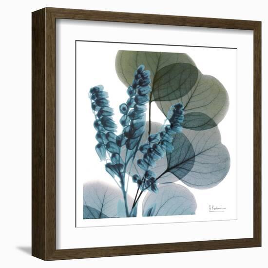 Lilly Of Eucalyptus-Albert Koetsier-Framed Art Print