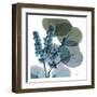 Lilly Of Eucalyptus-Albert Koetsier-Framed Art Print