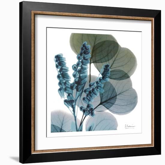 Lilly Of Eucalyptus-Albert Koetsier-Framed Art Print