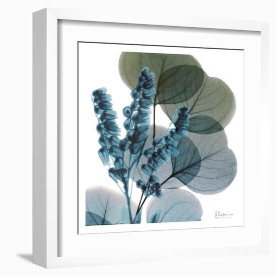 Lilly Of Eucalyptus-Albert Koetsier-Framed Art Print